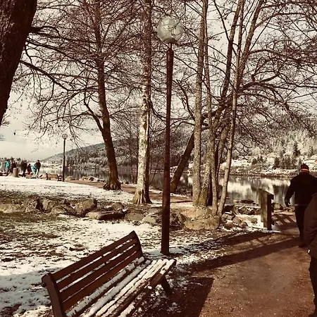Gite Moya Gerardmer Exterior photo